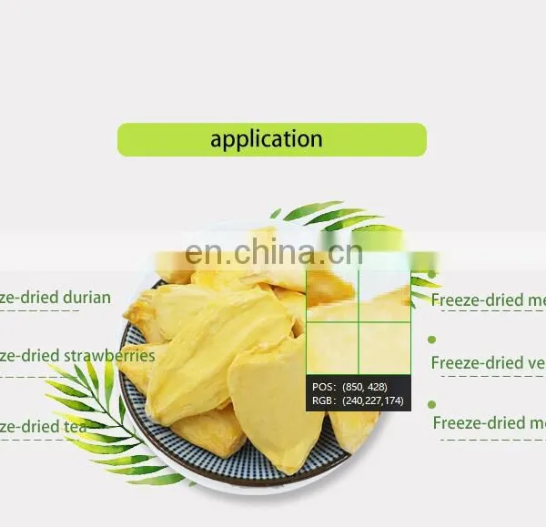 Industry Fruit and Vegetable Food Lyophilizer Machine Price photo-5