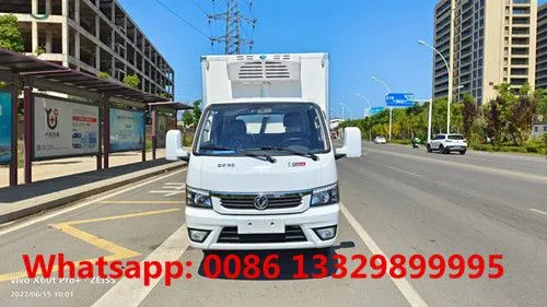 Customized Dongfeng Tuyi 4*2 LHD Petrol Engine Mini Refrigerated Van Truck for Sale 0.5T-1T photo-3
