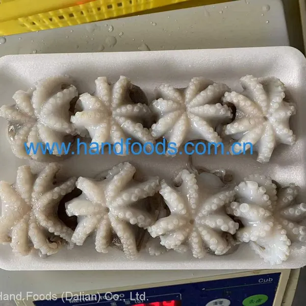 Frozen Cleaned Baby Octopus