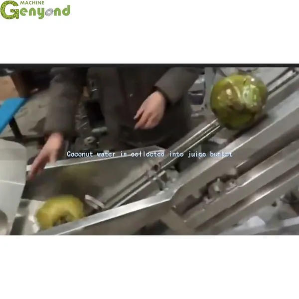Coconut Fibre Remove Machine Coconut Shelling Machine