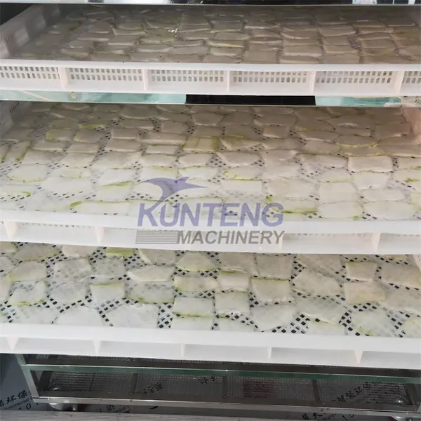 Hot Air Casava Processing Dryer Dry Potato Cassava Starch Ginger Powder Desiccated Coconut Flour Gel Dryer Drying Machine EPC photo-2
