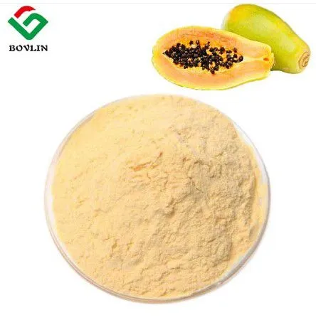 Papaya Powder