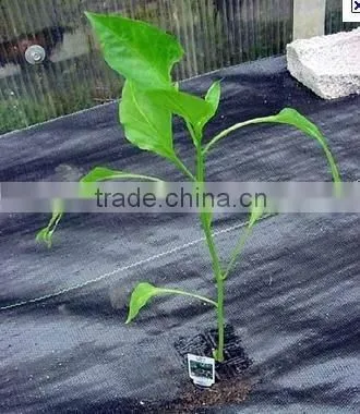 Nonwoven Landscape Ground Cover Wholesale photo-5