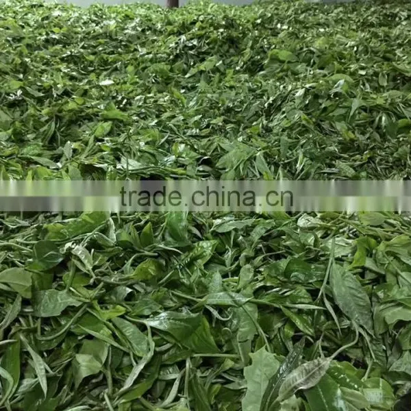 Vietnam Healthy Detox Green Tea Organic