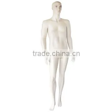 Hot Product Newly Half Body Mannequin/Muscle Male Torso Mannequin/Mannequin photo-4
