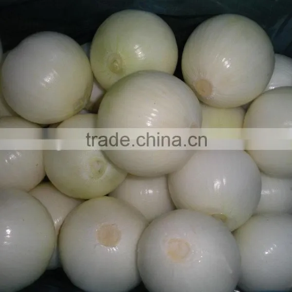 Looking for a Long Term Customer High Quality Fresh Onion Manufacturer From China photo-2