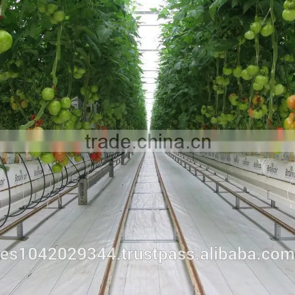 Versatile Tropical Greenhouses for NFT, Hydroponics and Drip Irrigation photo-3