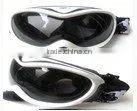 Ski Goggles