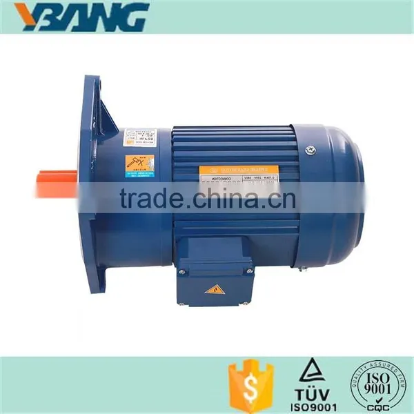 Induction AC Gear Motor With Gear Reducer