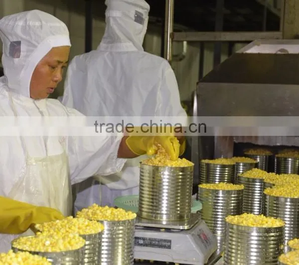 2015 Fresh Made A9 Canned Sweet Corn photo-3