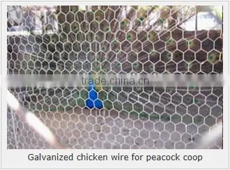 Hexagonal Woven Twist Wire Mesh - Galvanized and PVC Coated Chicken Mesh Price photo-6
