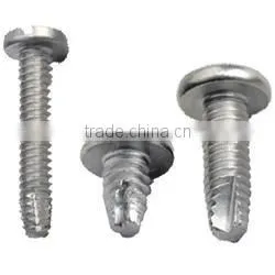 Thread Cutting Screw,Rolled Thread Screws