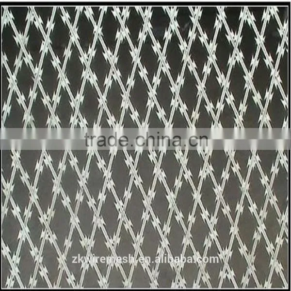 Concertina Razor Wire/Concertina Wire/Razor Barbed Wire photo-4