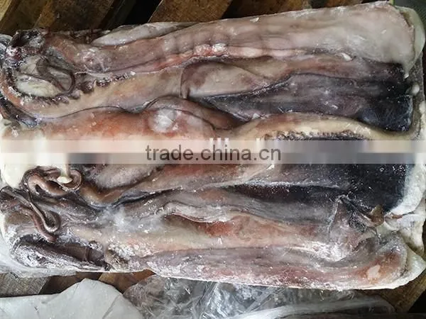Wholesale Squid Frozen Giant Squid Tentacle