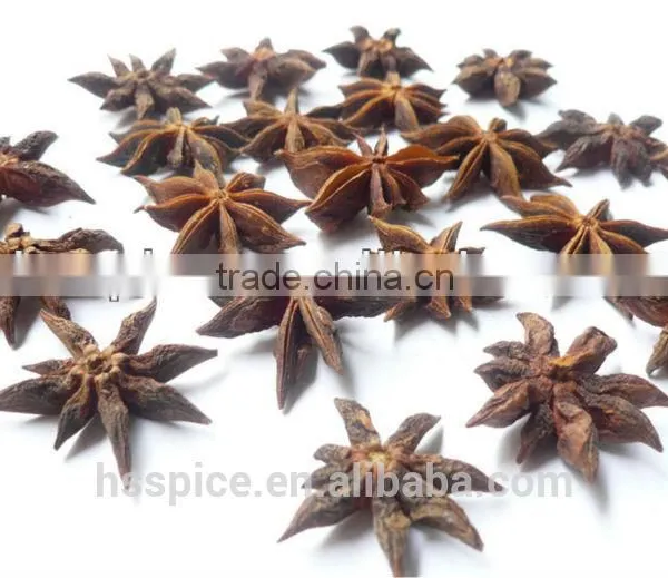 Spice/ Organic Star Aniseeds photo-3