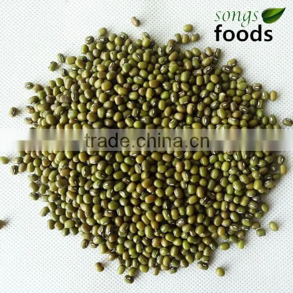 New Crop Mung Beans Price