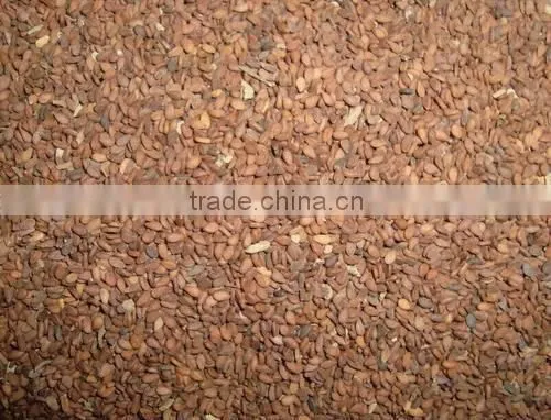 Brown Sesame Seed photo-2