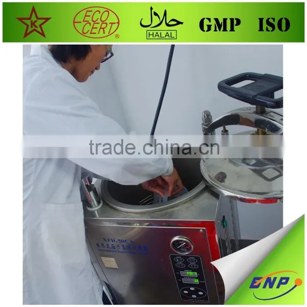 BNP Natural TOP Quality Reishi Spore Powder photo-6