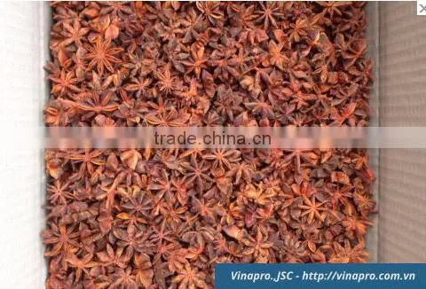 VIETNAM AUTUMN STAR ANISEED, HIGH QUALITY, BEST PRICE (+841657106604 - WHATSAPP)