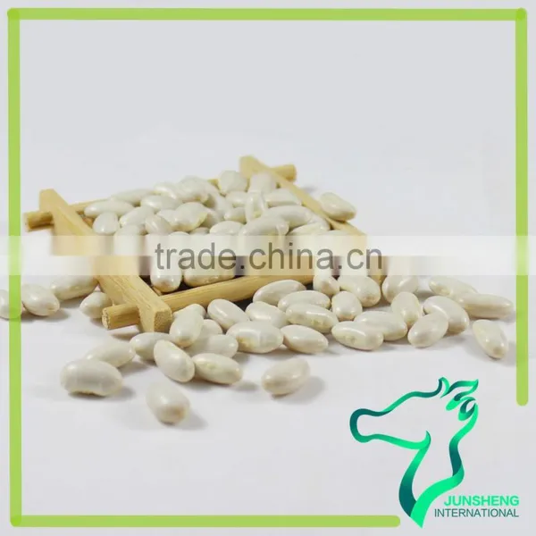 All Types of Dried White Kidney Beans For Canned photo-5