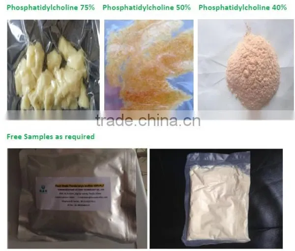 Medical Grade Lecithin Phosphatidylcholine(PC) Soya Lecithin Supplier photo-4