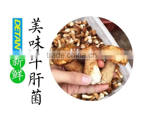 High Quality Porcini Dried Mushroom photo-2