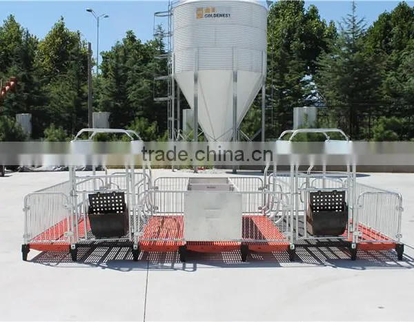 Goldenest High Quality Cheap Price Automatic Farrowing Crate for Pigs Sow Sty Farming Equipment for Sale photo-2