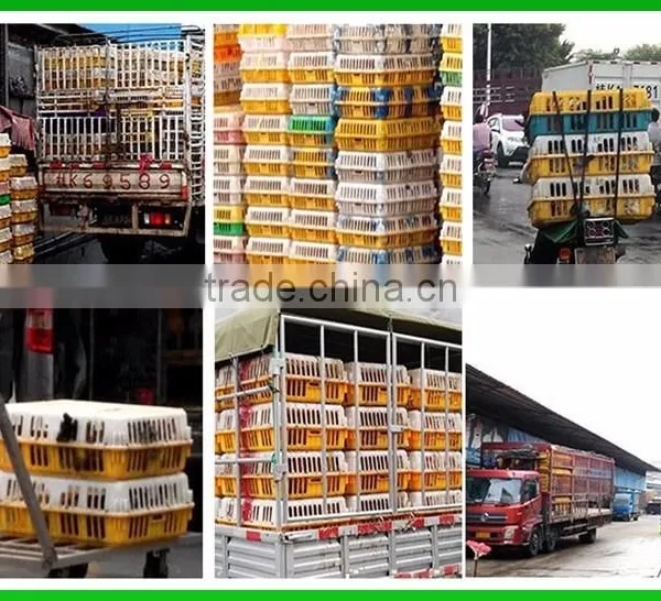 2017 Factory Wholesale Durable Chicken Transport Cage/plastic Poultry Crate for Chicken Duck and Goose photo-6