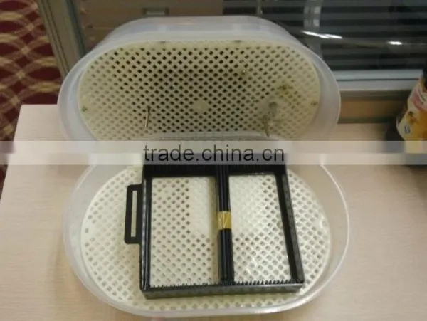 CE Approved Family Type VLAIS Mini Chicken Egg Incubator photo-2