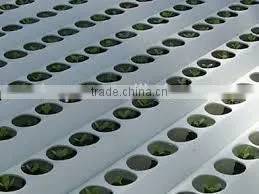 Greenhouse NFT Hydroponics Channel For Aquaponics photo-2