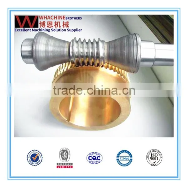 Professional Custom Brass Worm Gear Set Made By WhachineBrothers in China photo-6