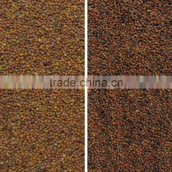 Seed Color Sorter With CE Certification photo-3