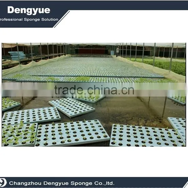 Agricultural Polyurethane High Densuty Seeds Grow Sponge Germination Foam photo-6