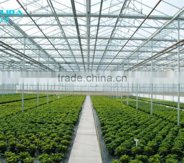 Blackout Vegetable Greenhouse With Steel Frame photo-2