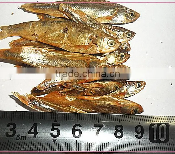 Organic Pet Products 2--6 cm Cat Food Dried Fish photo-2