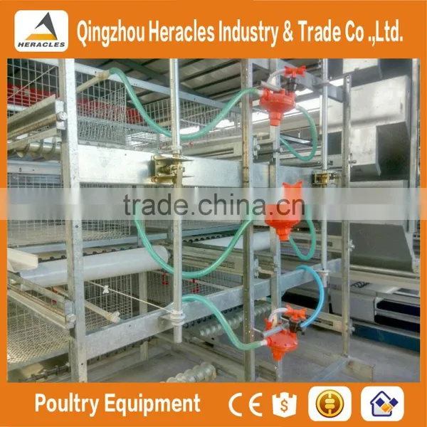 China Heracles Trade Assurance Poultry Farming Equipment Chicken Layer Cage in Philippines photo-6