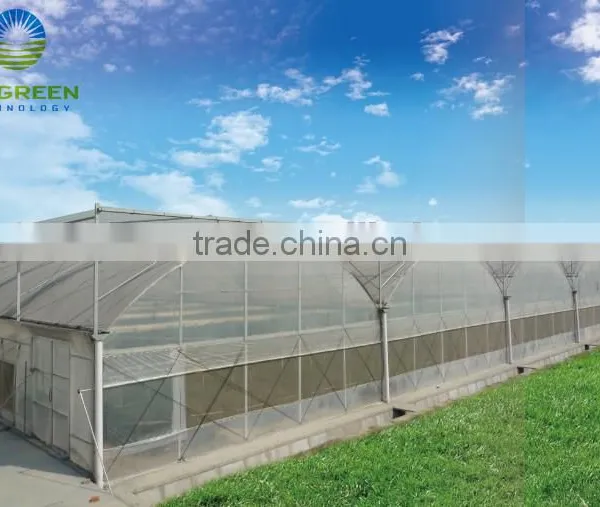 2017 Hot Sale Multi Span Plastic Film Tomato Greenhouse photo-3