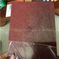 DC51D Color Steel