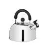 Stainless Steel Tea Kettle