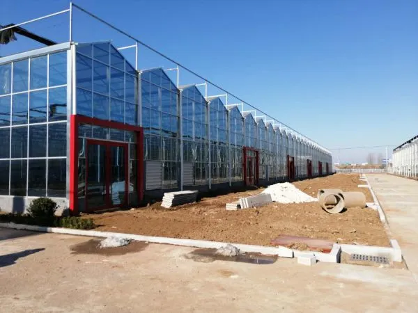 Commercial Glass Greenhouse With Clear PC Sheet Roof photo-2