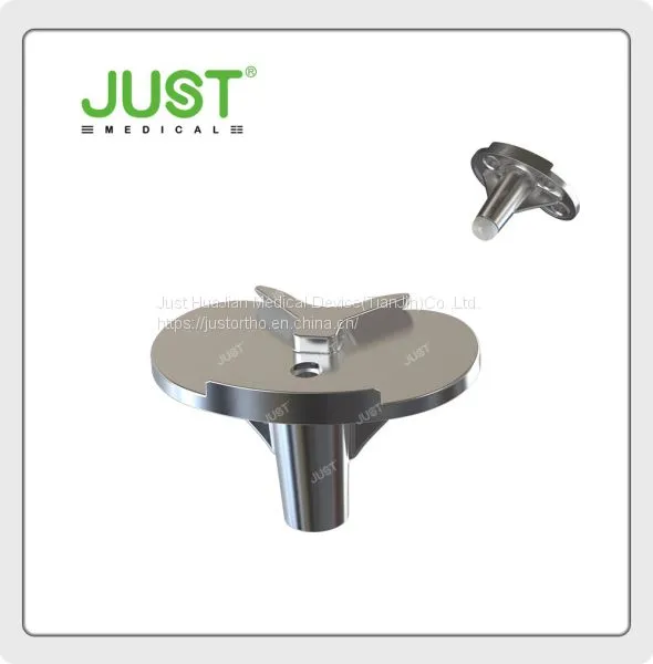 Complex Primary Knee