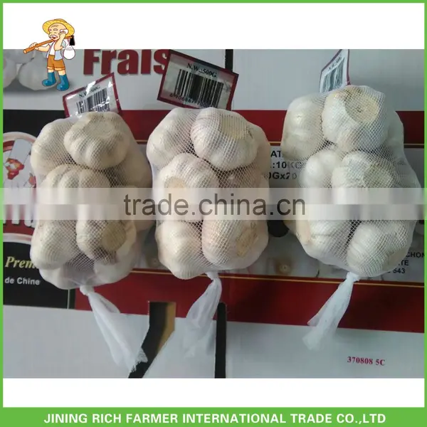 China Wholesale Price Natural Garlic