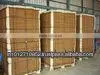 COIR DUST BLOCKS