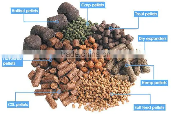 New Product Floating Fish Food Pellet Processing Making Machinery photo-4