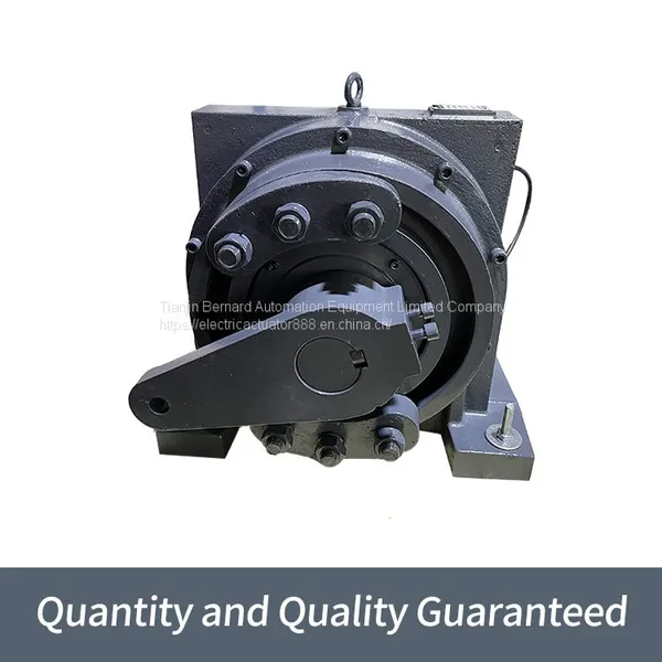 Bernard External Regulation Electric Actuators DKJ - 5100D Intelligent Device Quarter-turn Valves photo-4