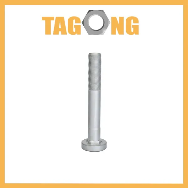 Ss Nut Bolt Screw M8-M30 Photovoltaic Wind Power Special Bolt 8.8 Grade Electric Bike Parts and Accessories photo-5
