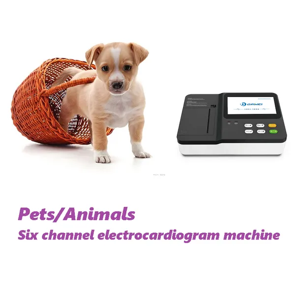 Animal ECG Machine Pet ECG