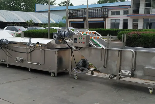 Crawfish Washing Machine Complete Sets of Crawfish Cleaning Cooking Processing Equipment Crawfish Production Line photo-6