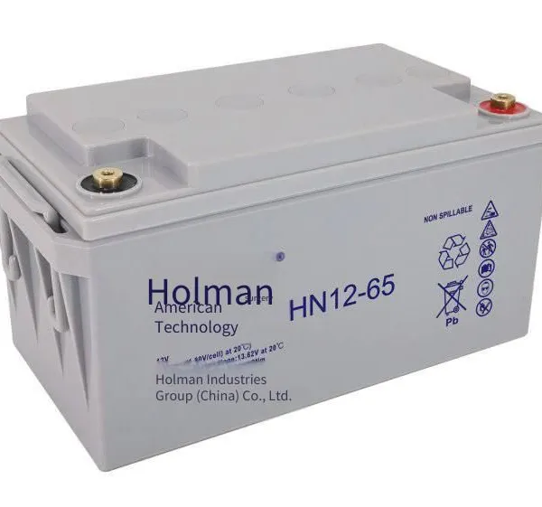 Holman Batteries Hn12-100, Hn12-65, Hn12-38, Hn12-24 for Emergency Backup Energy Storage in Computer Rooms photo-3