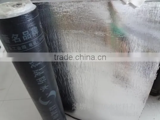 Good Waterproof Performance Chensheng Brand SBS Modified Bitumen Waterproof Membrane